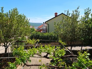Pflanze, Himmel, Pflanzengemeinschaft, Natürliche Landschaft, Hütte, Grundstueck, Haus, Gebäude, Gras, Nachbarschaft