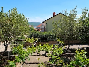 Pflanze, Himmel, Pflanzengemeinschaft, Natürliche Landschaft, Hütte, Grundstueck, Haus, Gebäude, Gras, Nachbarschaft
