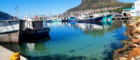 A short walk or drive from the Hout bay Harbour and/or harbour market
