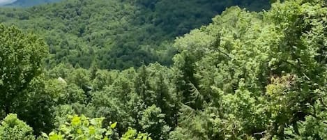 Awesome Smoky Mountain Views From This Gatlinburg Cabin!