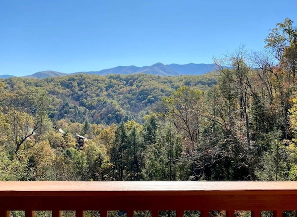 Gorgeous Great Smoky Mountain Views!