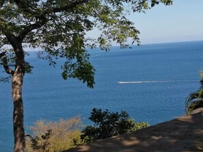 Vista da propriedade