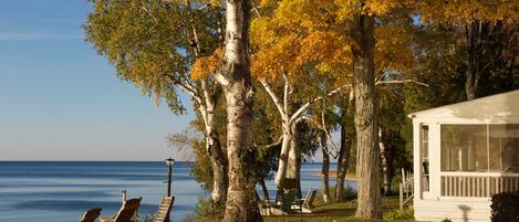 An autumn afternoon on the back lawn of the Jolli-Lodge