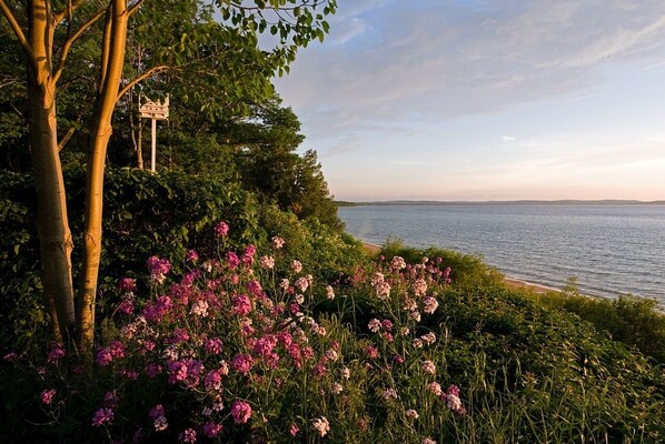 Summer flowers blooming at the Jolli-Lodge Resort