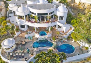 Bird's Eye on Paradise