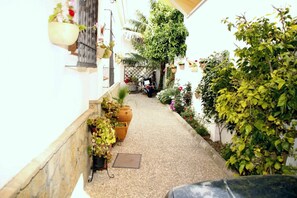 Plante, Propriété, Fleur, Pot De Fleur, Bâtiment, Plante D'Appartement, Orange, Jaune, Mur, Surface De La Route