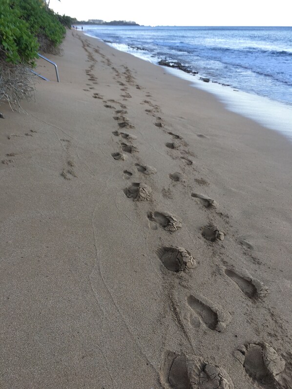 Strand