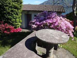 Picture 3