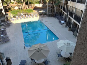 SS1 Pool