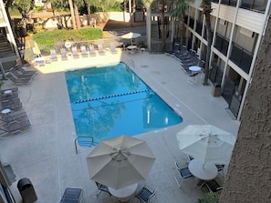 SS1 Pool