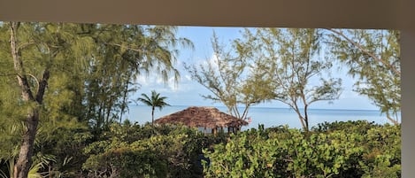 view from the wrap around porch of the beach path and gazebo with thatched roof.