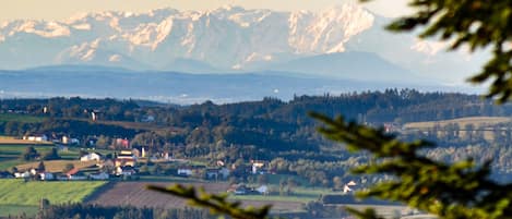 Alpenpanorama bei guter Wetterlage 