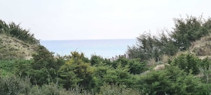 Unclassified image, 3 of 23, button