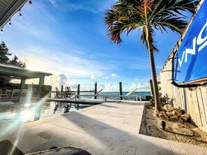 80 degrees and palm trees