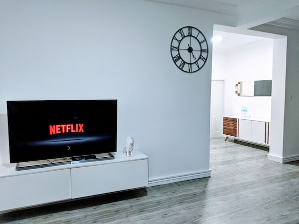 Netflix Streaming