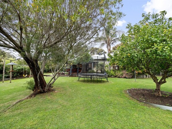 Garden and Trampoline