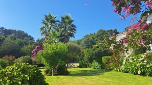 Vivenda com jardim.