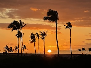 Vista para a praia ou o mar