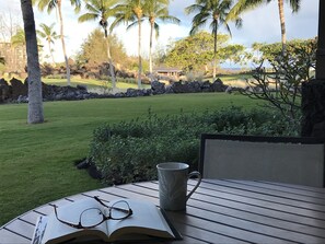 Morning relaxation on the lanai before the beautiful hibiscus flowers grew up!