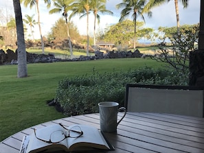 Morning relaxation on the lanai before the beautiful hibiscus flowers grew up!