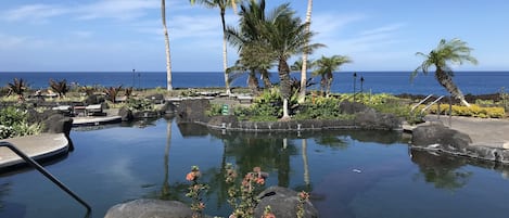 Private Ocean Club pool with 180 degree ocean view from your lounge chair, Maui!