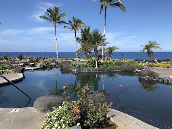 Private Ocean Club pool with 180 degree ocean view from your lounge chair, Maui!