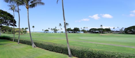 J207 Ocean Golf Course Views