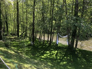 Forest upriver towards our little beach