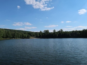 Region [summer] (>5 km)