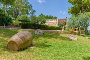 Garden with lawn