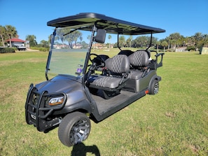New 6-seater golf cart