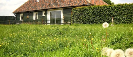 Außenseite Ferienhaus [Sommer]