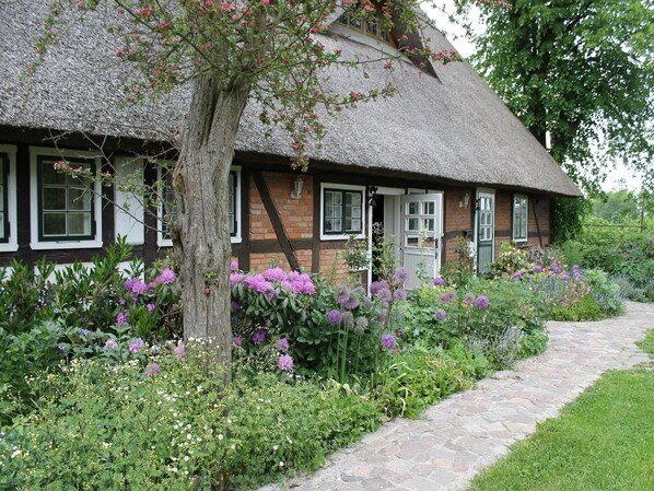Außenseite Ferienhaus [Sommer]