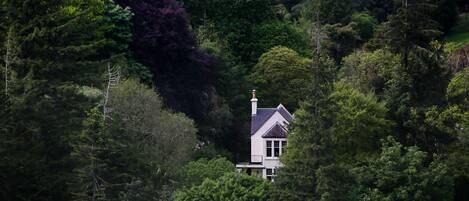 Home Farm Oban - Lost in trees