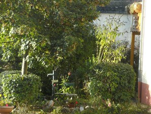 Giardino [estate]