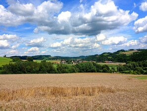 Surroundings [summer] (1-5 km)