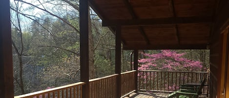 Large deck with view of the cove on Watauga Lakea