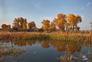  Enjoy the view of this heart-shaped pond, fed by a natural artesian spring.