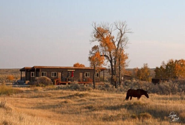 Hundreds of miles of open space. Views of the Owl Creek & Wind River mountains.