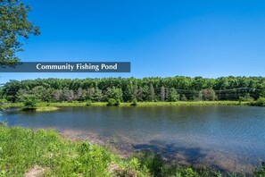 Community Pond