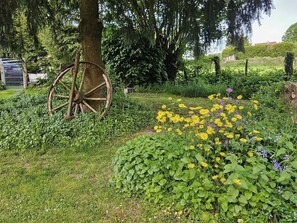 Garden [summer]