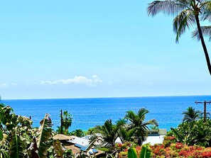 Uniquely private, large, peaceful lanai at WSV! Enjoy nature & a gorgeous view!!