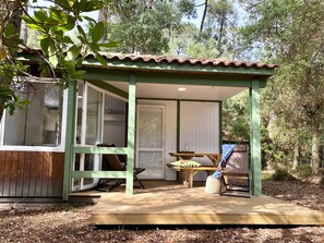 Plante, Ombre, Arbre, Végétation, Bois, Herbe, Mobilier De Jardin, Loisir, Immobilier, Bâtiment