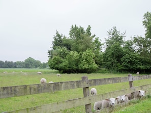 View from Holiday Home [summer]