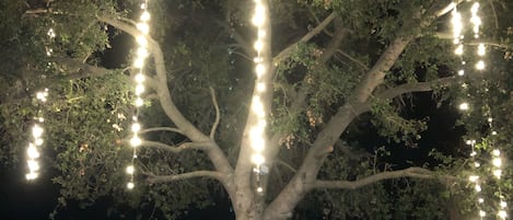 Backyard seating under gorgeous lighted twinkling tree 