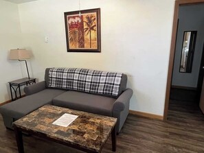Pull out sleeper sofa
