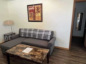 Pull out sleeper sofa