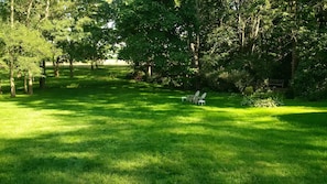 Spacious back yard with view of farm fields.