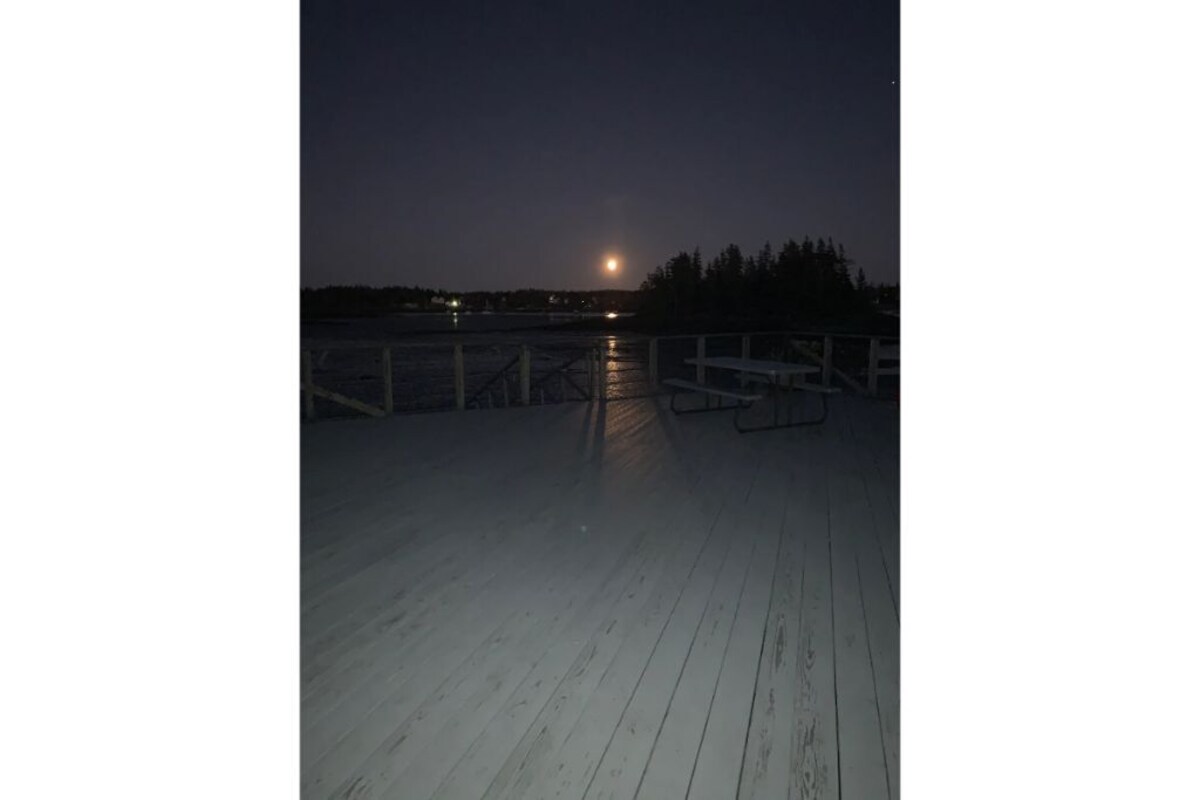 Tidewatch- harborside cottage, unparalleled views