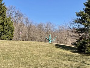 Hill behind the house, great for sledding in the winter.  